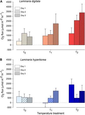 Photophysiological Responses of Canopy-Forming Kelp Species to Short-Term Acute Warming